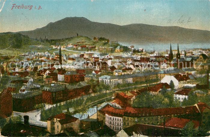 Freiburg Breisgau Stadtpanorama Blick zum Schwarzwald