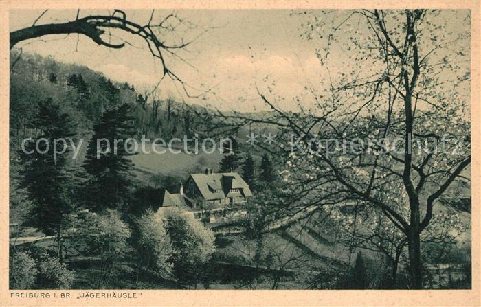 Freiburg Breisgau Jaegerhaeusle Baumbluete Schwarzwald