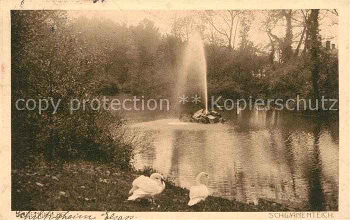 BADENWEILER BW Schwanenteich im Kurpark Kurort im Schwarzwald