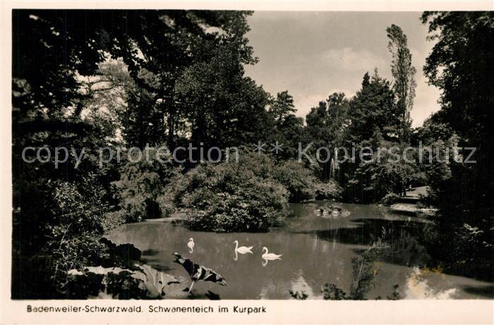 BADENWEILER BW Schwanenteich im Kurpark Kurort im Schwarzwald