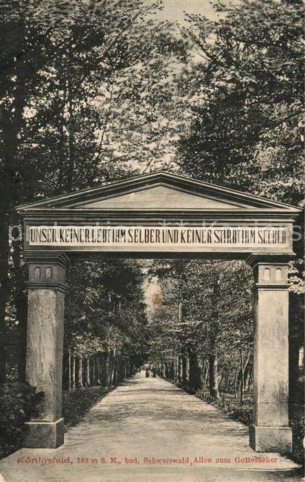 Koenigsfeld Schwarzwald Allee zum Gottesacker