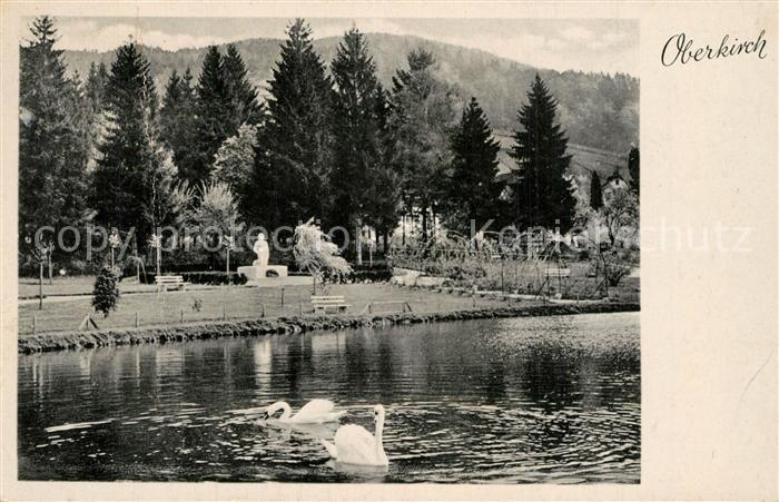 Oberkirch Baden Schwanenteich Park