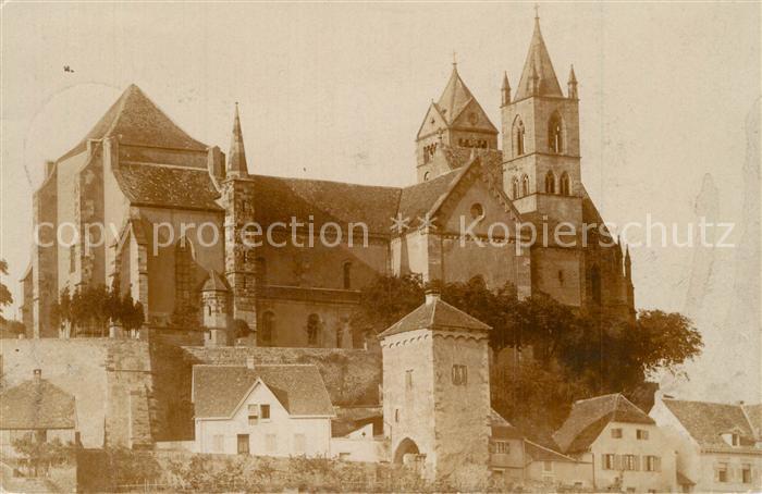 Breisach Rhein Muenster