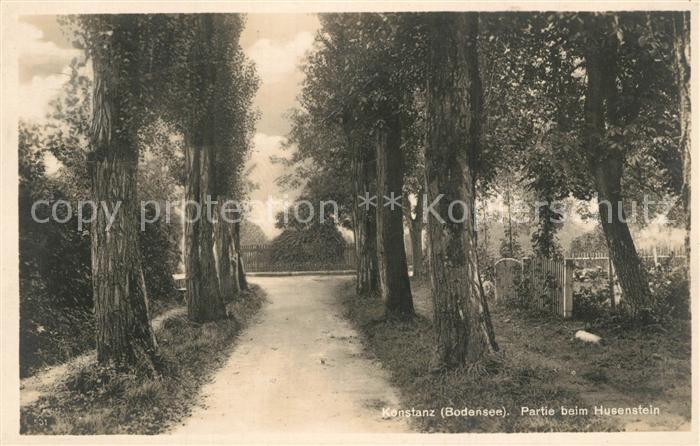 Konstanz Bodensee Partie beim Husenstein