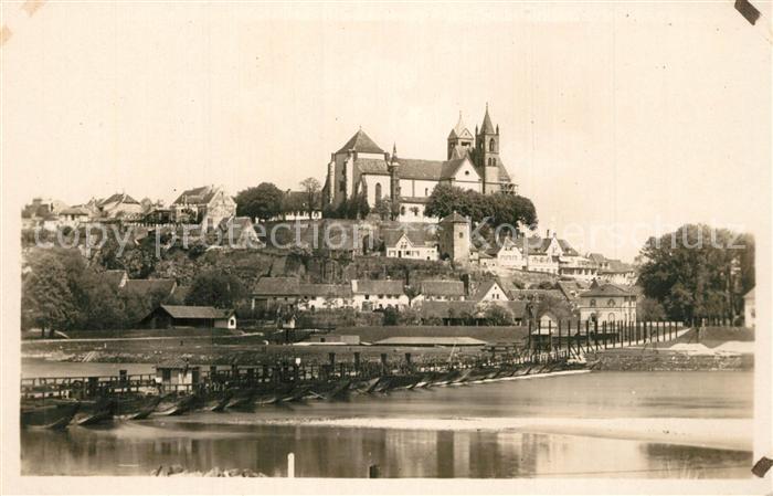 Breisach Rhein Schiffsbruecke Blick zum Muenster