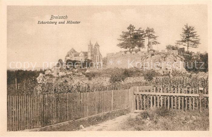 Breisach Rhein Eckartsberg und Muenster