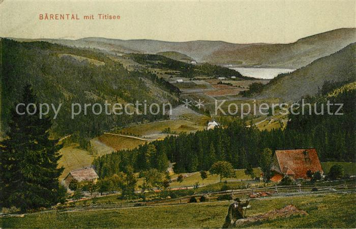 Baerental Feldberg Panorama Blick zum Titisee