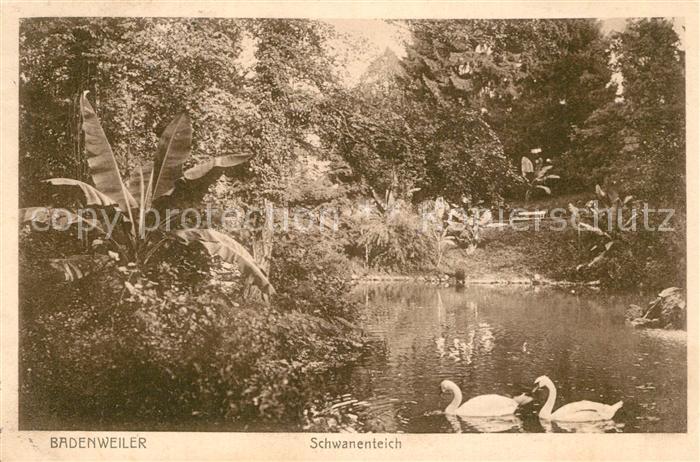 BADENWEILER BW Schwanenteich Stempel geprueft