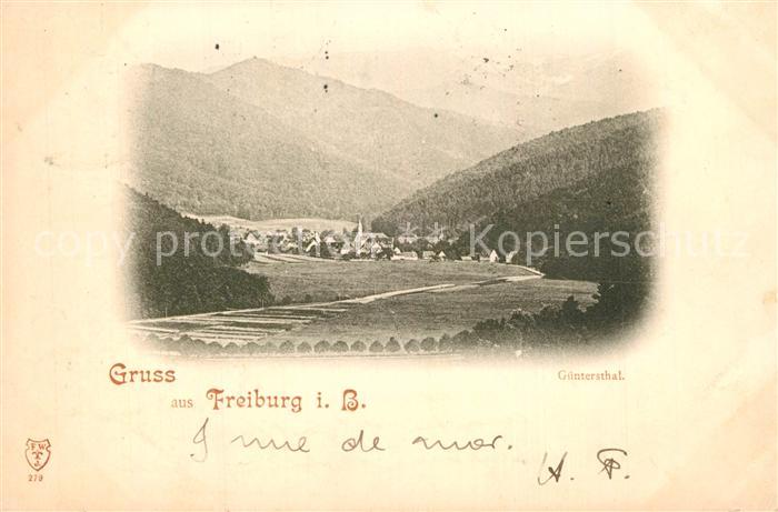 Guenterstal Freiburg Panorama Schwarzwald