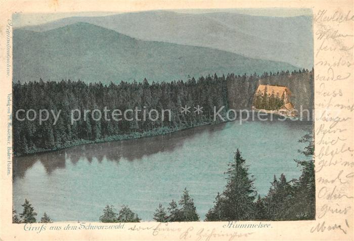 Mummelsee Panorama mit Hotel Gasthof Schwarzwald