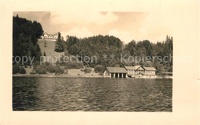 Freibergsee Panorama