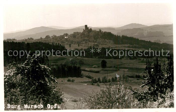 Oberviechtach Burg Murach