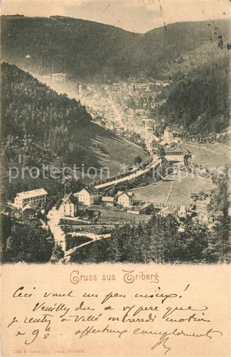Triberg Schwarzwald Panorama