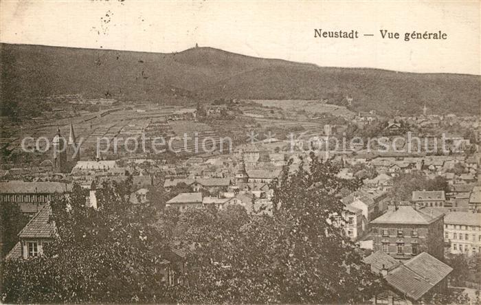 Neustadt Weinstrasse Panorama