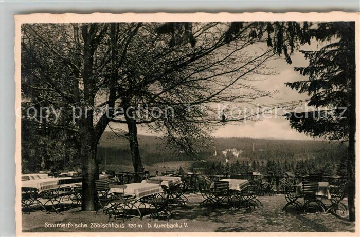 Auerbach Vogtland Zoebischhaus Sommerfrische