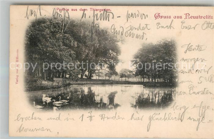 Neustrelitz Mecklenburg-Vorpommern Thiergarten