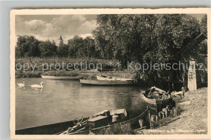 Fischbach Friedrichshafen Fischerei Hafen