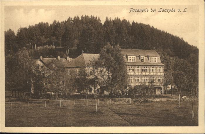 Bad Laasphe Hotel Fasanerie