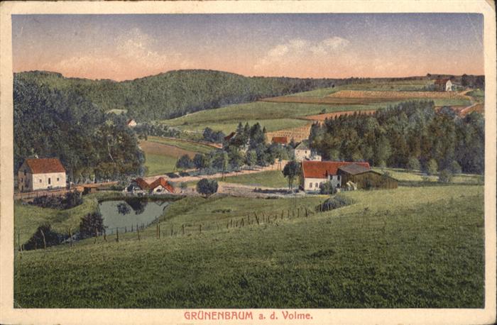 Vollme Grünenbaum