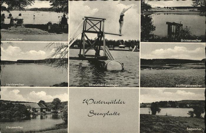Westerburg Westerwald Postweiher Heideweiher Hoffmannsweiher