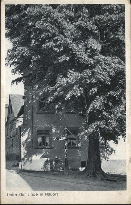 Nauort Westerwald Linde