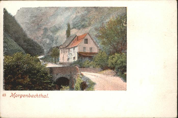 Boppard Rhein Boppard Morgenbachtal