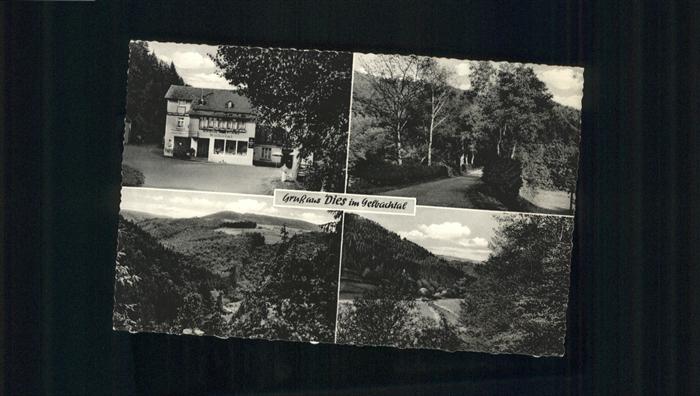 Laurenburg Gasthaus Pension Wilhelmi