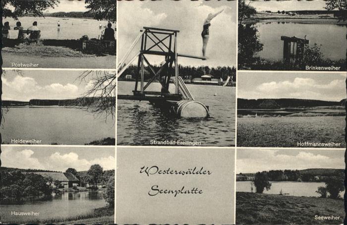 Freilingen Westerwald Strandbad Postweiher Brinkenweiher Seew