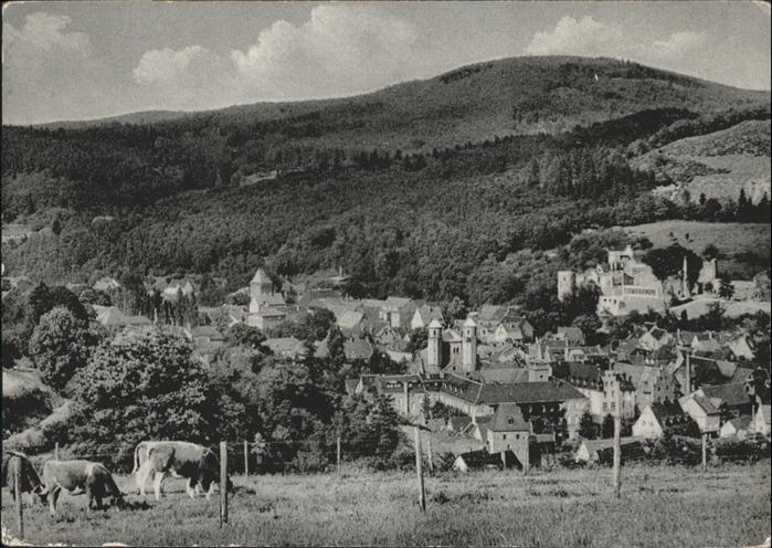 Bad Muenstereifel ühe x