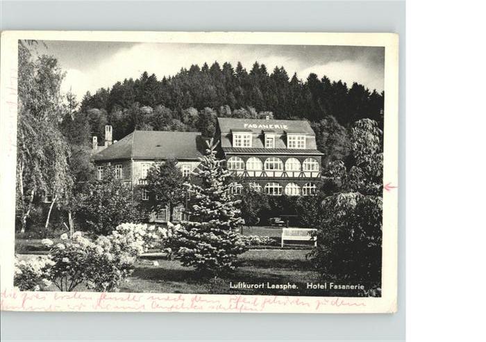 Bad Laasphe Hotel Fasanerie