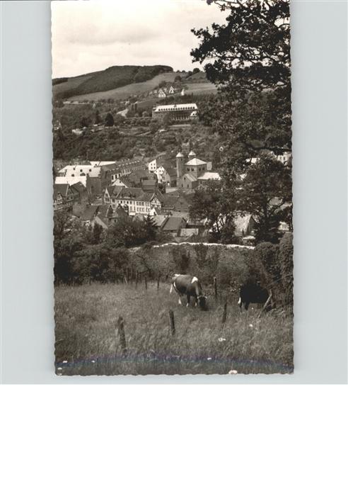 Bad Muenstereifel urhaus