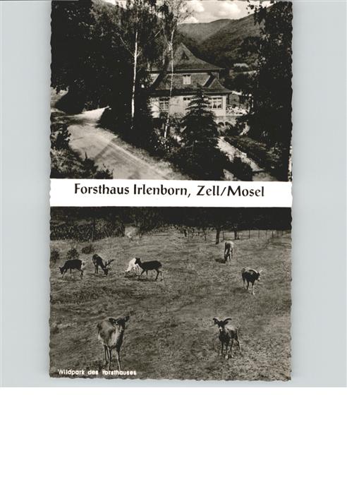 Zell Mosel Forsthaus Irlenborn Wildpark
