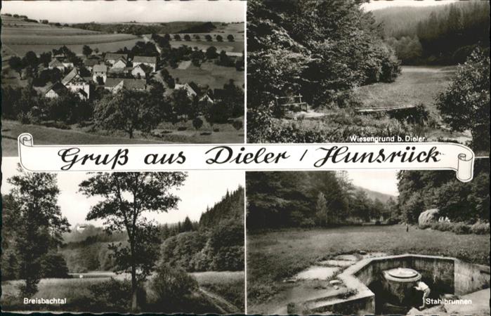 Dieler Halsenbach Stahlbrunnen Wiesengrund