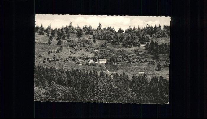 Deifeld Zur Heidekönigin