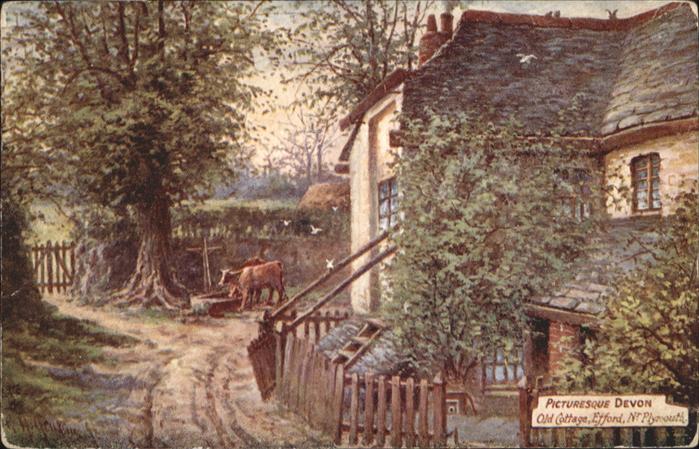 Plymouth UK South West Plymouth Picturesque Devon Kuh