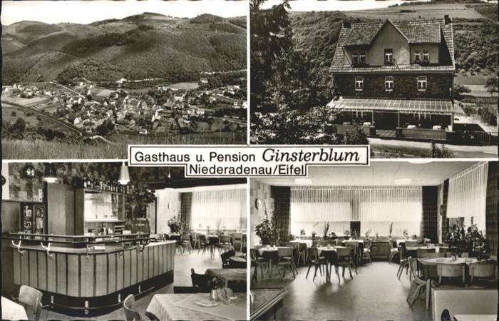 Niederadenau Gasthaus Pension Ginsteblum