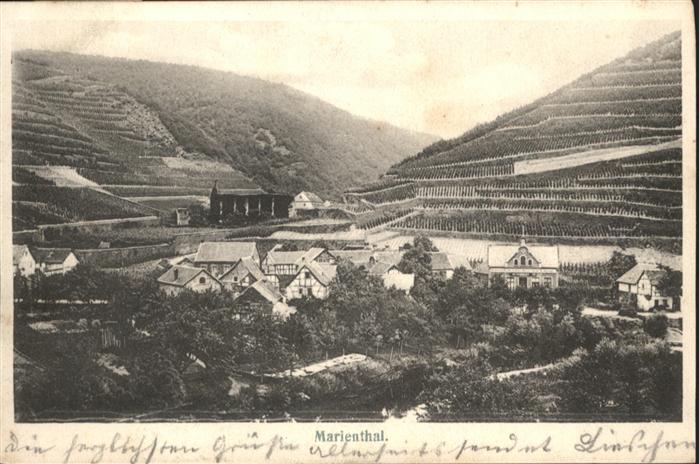 Marienthal Dernau Weinreben Weinberge