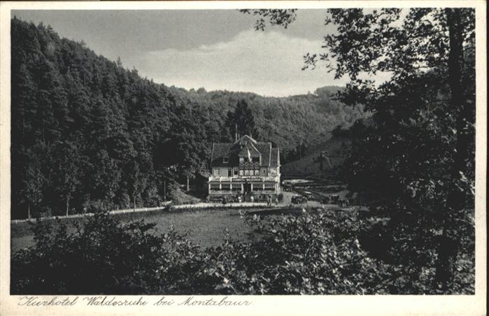 Montabaur Westerwald Montabaur Kurhaus Waldesruhe