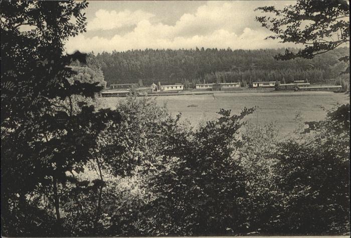 Rehe Bundesheim Westerwald