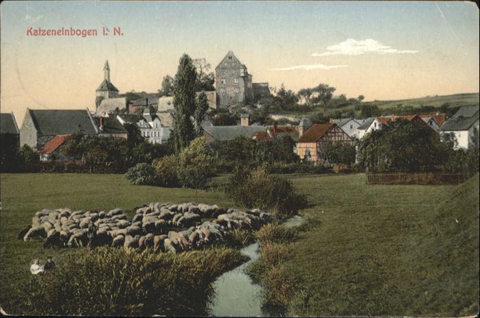 Katzenelnbogen Schafe Brohltal