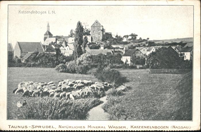 Katzenelnbogen Schafe