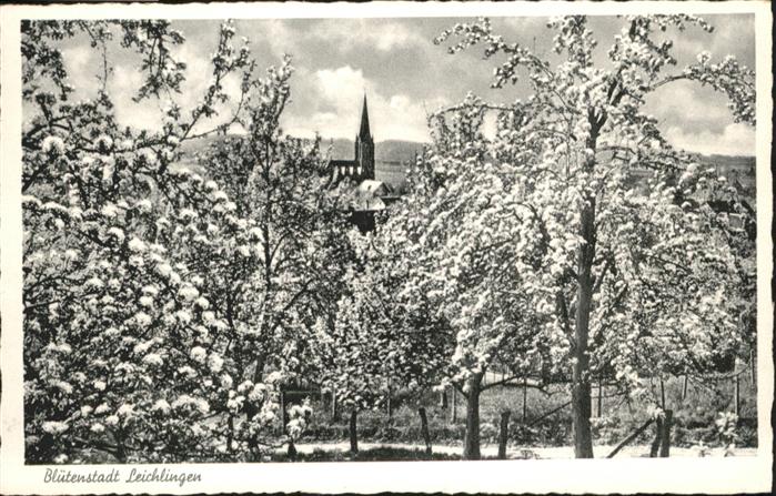 Leichlingen Rheinland Leichlingen Blüten