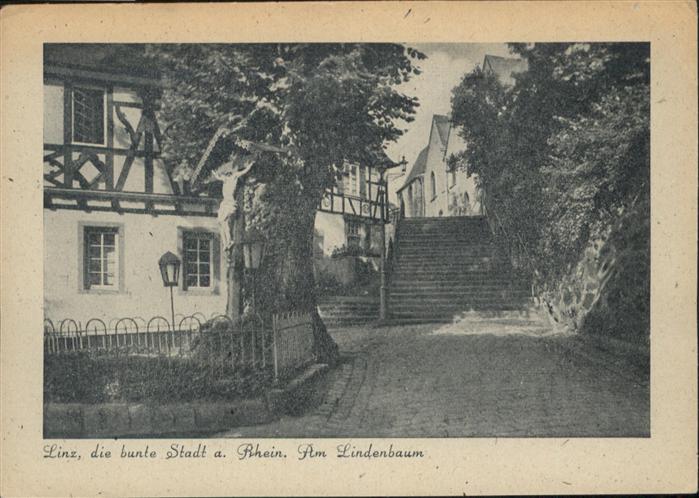 Linz Rhein Am Lindenbaum