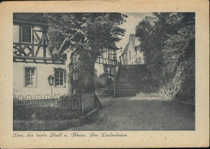 Linz Rhein Am Lindenbaum