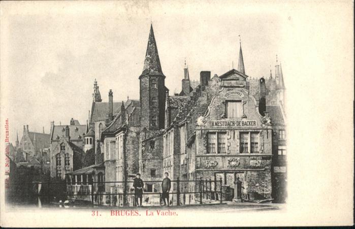 Bruges BRUGGE Belgie Bruges Vache