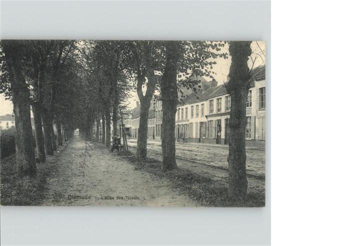 Dixmude Allee Tilleuis