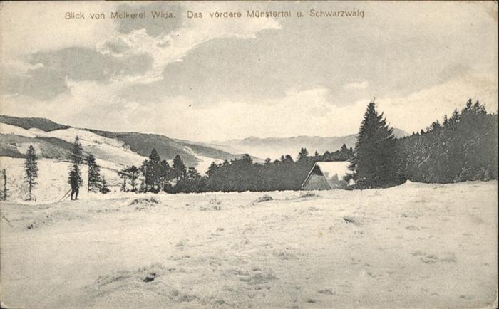 Muenstertal Schwarzwald elkerei Wida