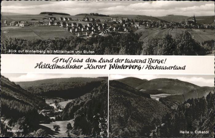 Winterberg Hochsauerland Winterberg Mütterheim Stuten Helle Orke