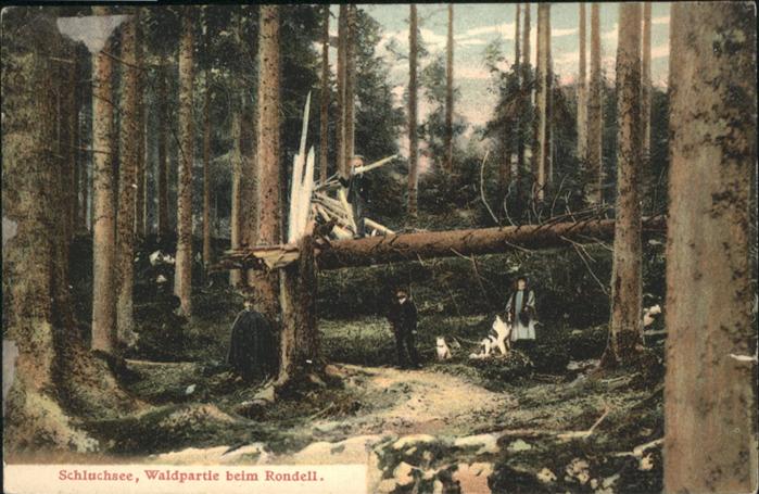 Schluchsee Rondell Wald