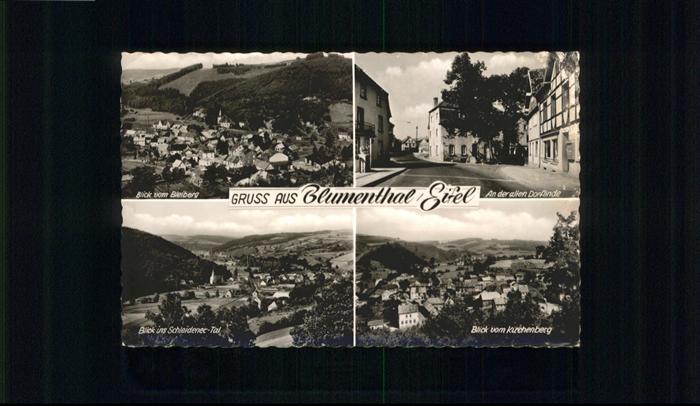 Blumenthal Schleiden